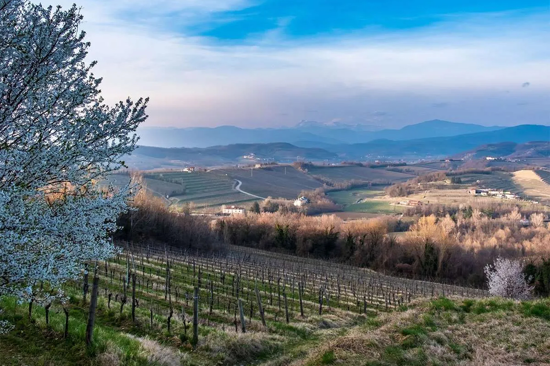 View of the panorama surrounding Villa Ronco Albina Photograph of the panorama surrounding Villa Ronco Albina