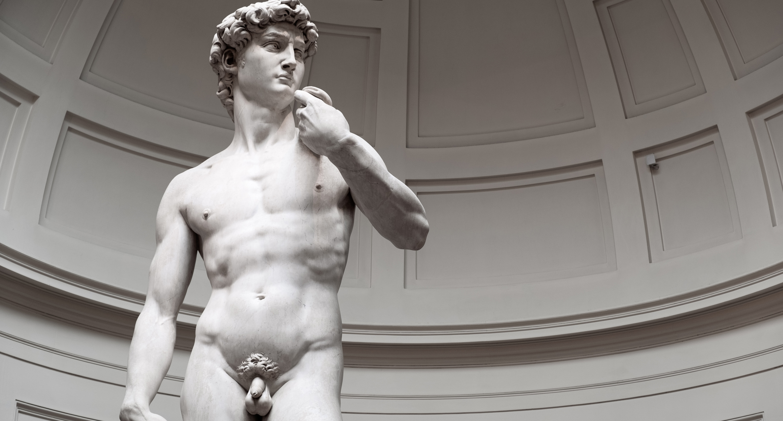 Image of statue of David by Michelangelo