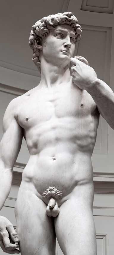 Image of statue of David by Michelangelo