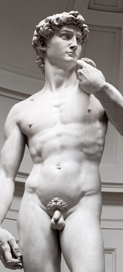 Image of statue of David by Michelangelo