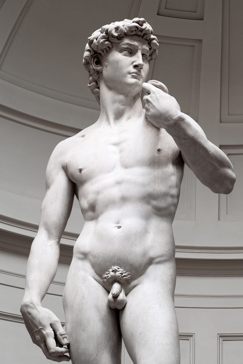 Image of statue of David by Michelangelo